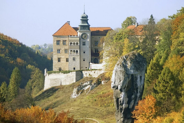 15534602781 768x512