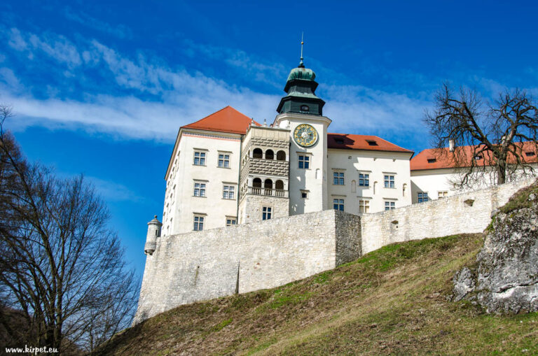 pieskowaskala121 768x509